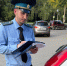 Барнаулец погасил 1,5 млн. долг, чтобы не лишиться земельных участков  и дорогого автомобиля. - Михайловский район